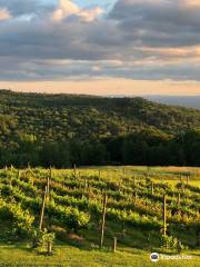 #23 Walpole Mountain View Winery