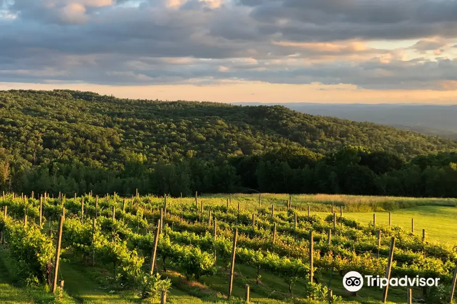 Walpole Mountain View Winery