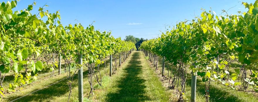 River Bend Winery & Distillery