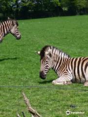 Porfell Wildlife Park & Sanctuary