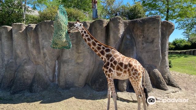 Wildlands Adventure Zoo Emmen