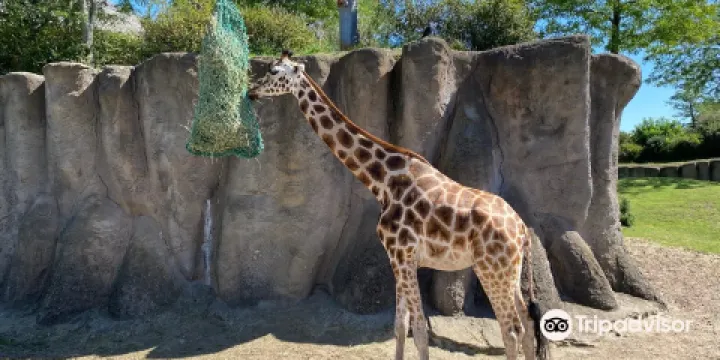 Wildlands Adventure Zoo Emmen