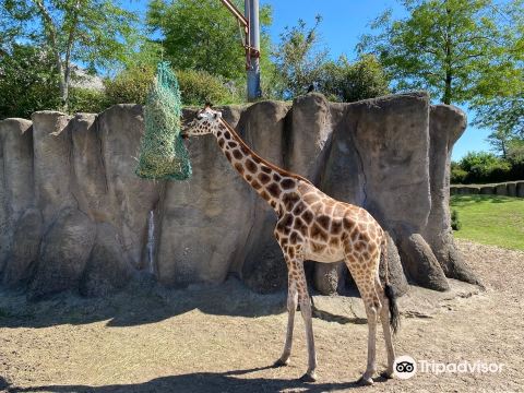 Wildlands Adventure Zoo Emmen
