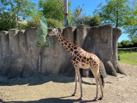 Wildlands Adventure Zoo Emmen