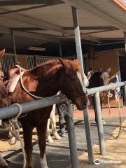 Crazy Horse Ranch