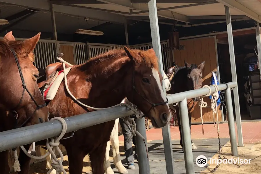 Crazy Horse Ranch