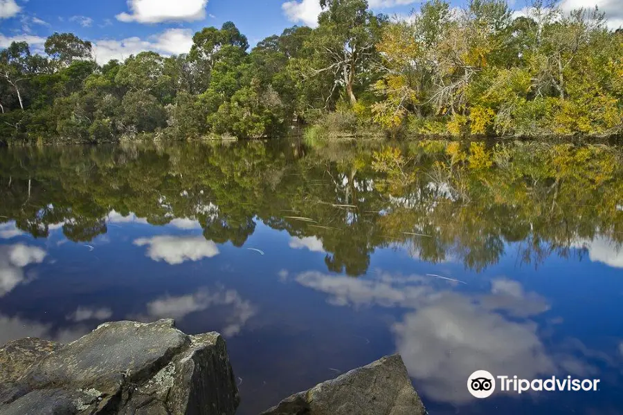 Blackburn Lake Sanctuary