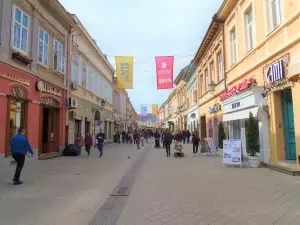 Dunavska Street