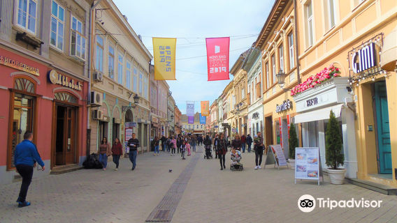Dunavska Street