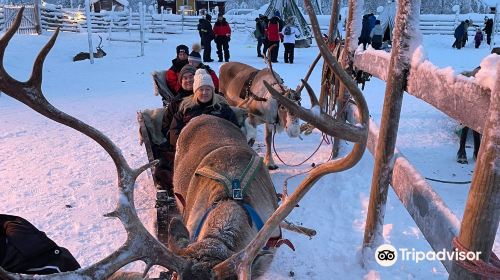 Ounaskievari Reindeer Farm