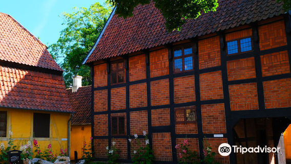 TIME - Museum for Odense