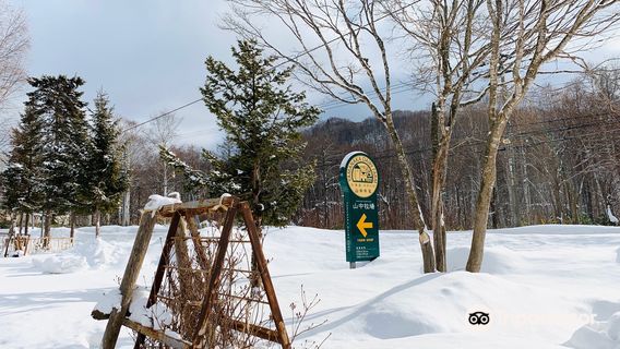 Yoichi District