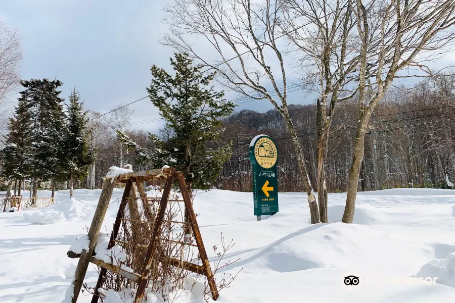 Yamanaka Dairy Farm