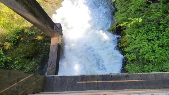 Brewery Park at Tumwater Falls