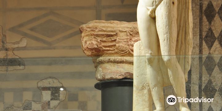 Portal Museo Arqueológico Municipal de Cartagena.