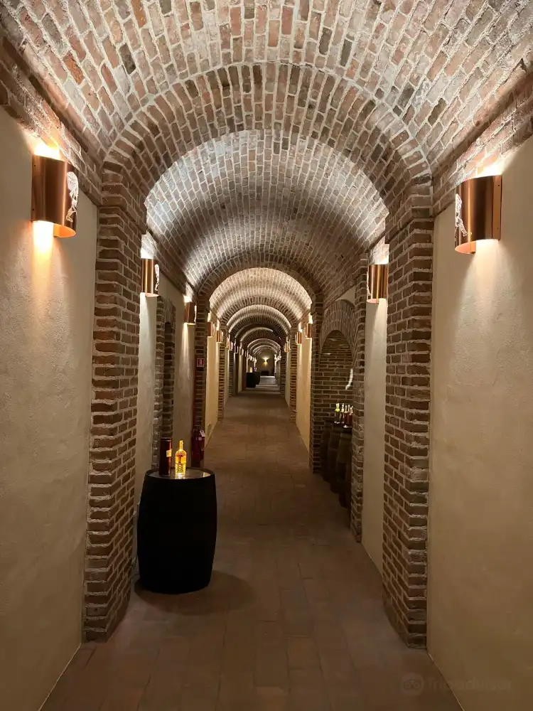 Hotels in Schiavon