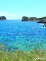 Isola di Pianosa