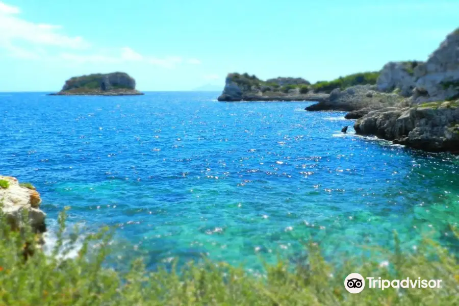 Isola di Pianosa