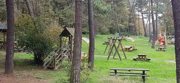 Sapanca