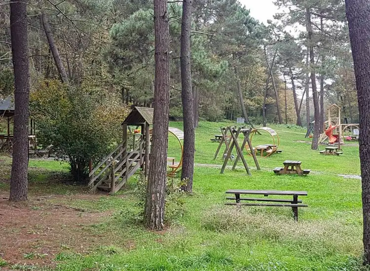 Sapanca