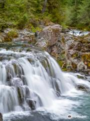 Willamette National Forest