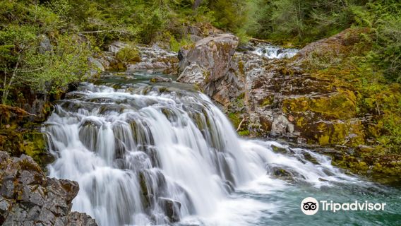Willamette National Forest