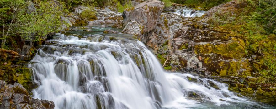 Willamette National Forest