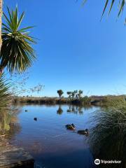 Travis Wetland