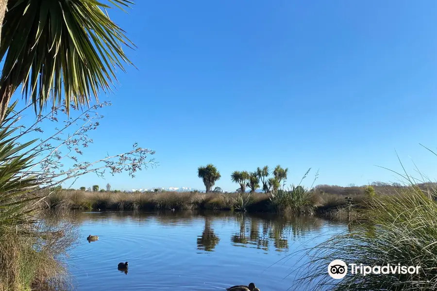 Travis Wetland