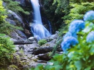 Mikaeri No Taki Falls