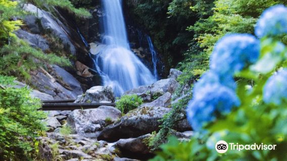 Mikaeri No Taki Falls