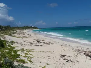 Tahiti Beach