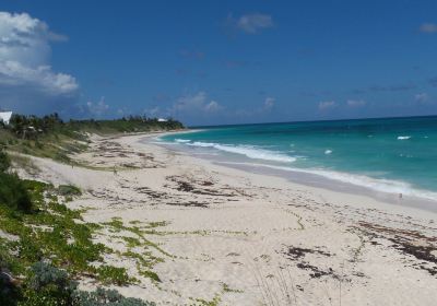 Tahiti Beach