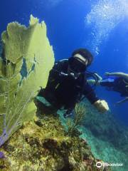 Dolin Dive Center