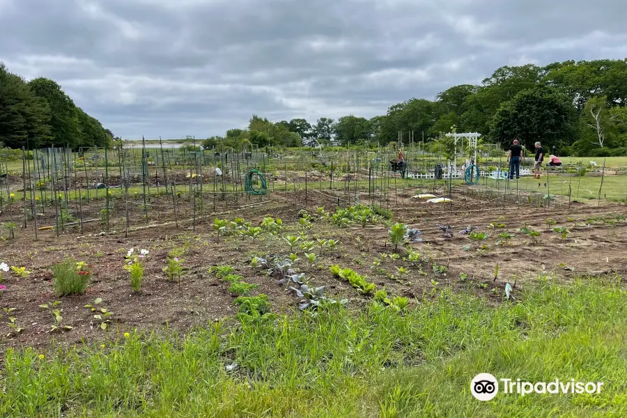 Beach Plum Farm