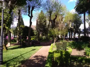 Xardín Botánico De Padrón