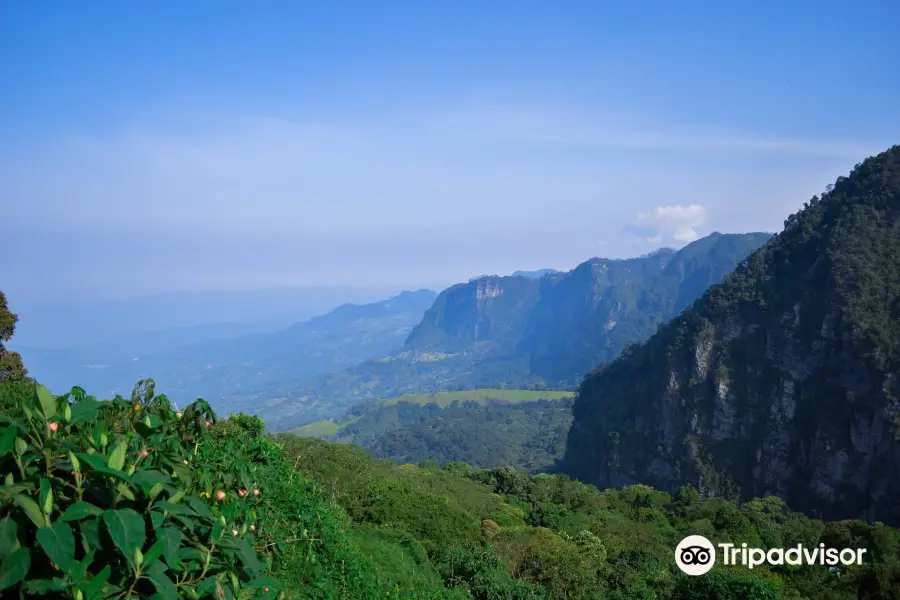 Parc Naturel Chicaque