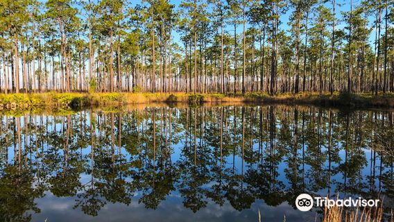 Okefenokee National Wildlife Refuge