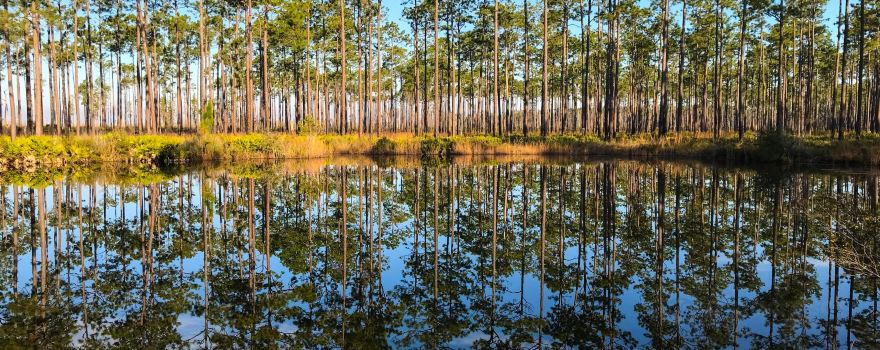 Okefenokee National Wildlife Refuge