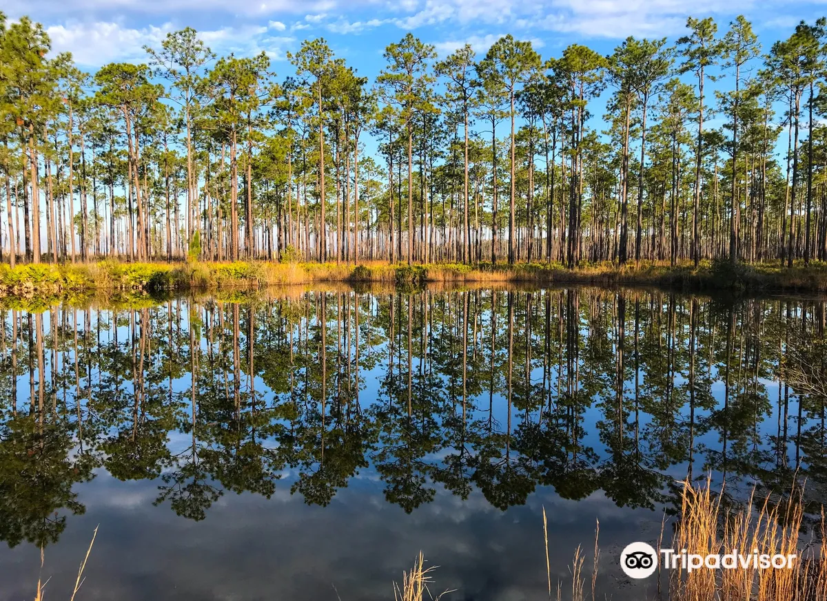 Okefenokee National Wildlife Refuge
