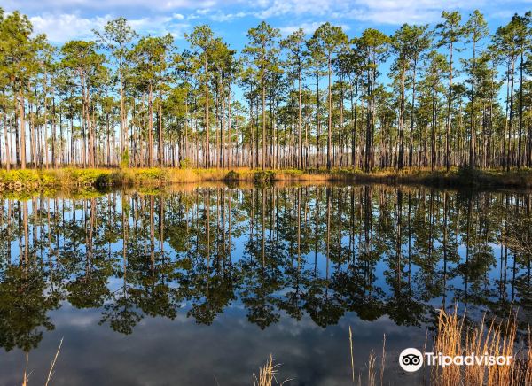 Ware County
