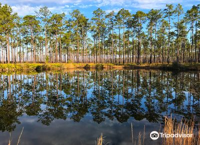 Okefenokee National Wildlife Refuge