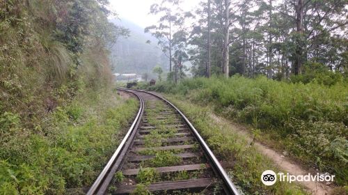 Thangamale Bird Sanctuary