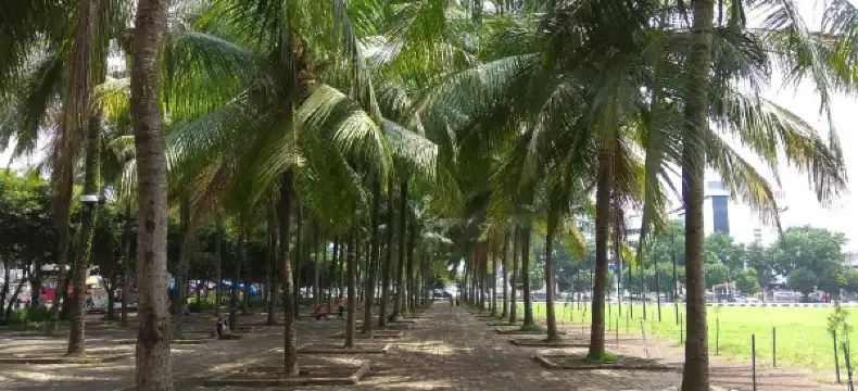 Hotels in Patrang