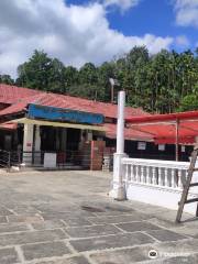 Adhishakthyathmaka Shri Annapurneshwari Devi Temple - (Horanadu)