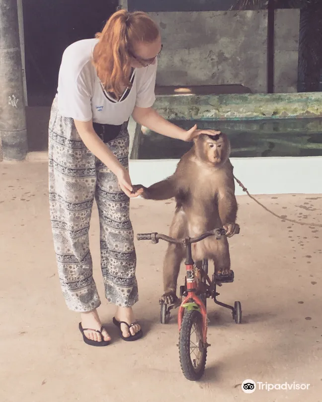 4_Amazing Bukit Safari