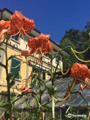 Jardin botanique de l'Université de Berne