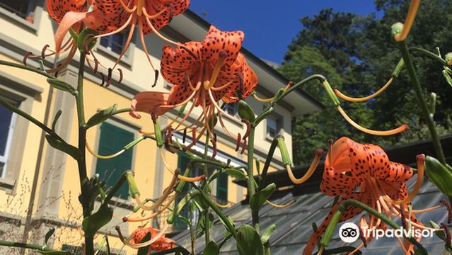 Universität Bern Botanical Garden
