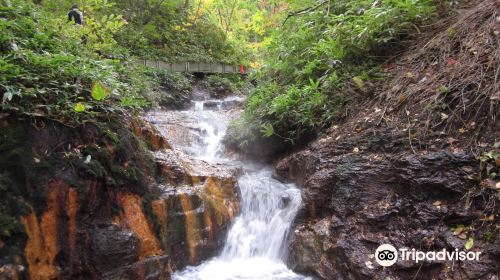 大湯沼川天然足湯