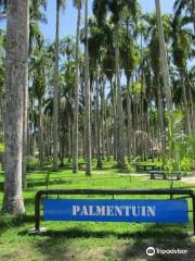 Palmentuin